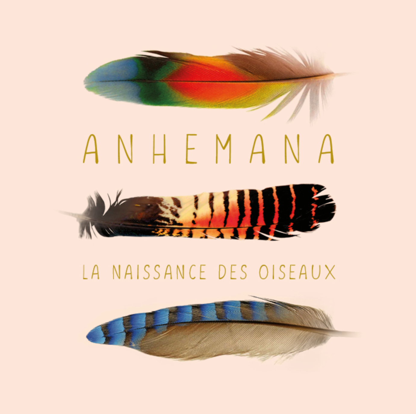 Anhemana — La naissance des oiseaux, composition de trois plumes colorées